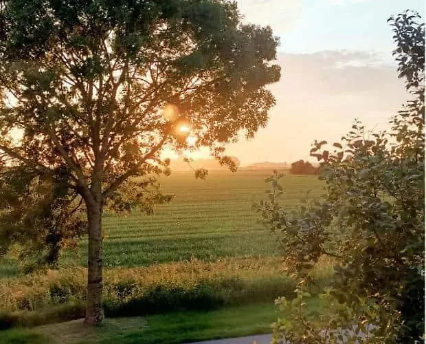 Grønhus Am Meer, 2 Appartement